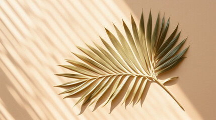 Top view of tropical palm leaf shadow on sand color.