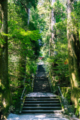 Stairs up to a Japanese temple in Hakone