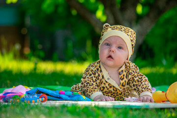 A child plays with toys on a green lawn. Little girl in leopard costume.