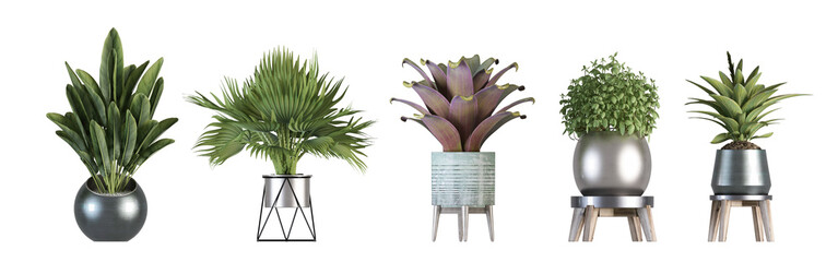 bunch of fresh green onions