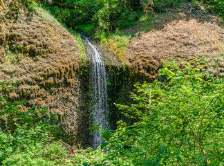 Oregon Waterfall Landscape