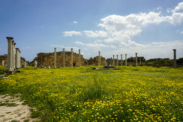 Fototapeta na wymiar 5 April 2023 Limassol Cyprus. Sanctuary of Apollon Hylates in Limassol Cyprus