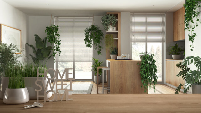Wooden table, desk or shelf with potted grass plant, house keys and 3D letters home sweet home, over white living room and kitchen, architecture interior design, urban jungle