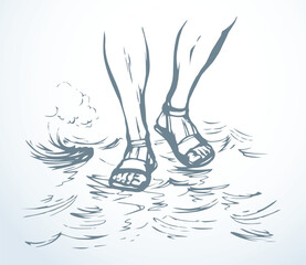 Legs walk on the water. Vector drawing