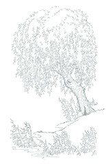 Vector drawing. Tree at the lake