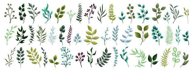 Greenery leaf plant. Forest. Herbs and tropical leaves. Vector botanical decorative illustration