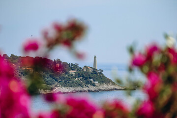 Bougainvillea out of focus in the foreground and Saint-Jean-Cap-Ferrat in the background