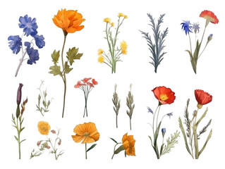 Collection of watercolor flower floral natural elements on transparent background, AI generated