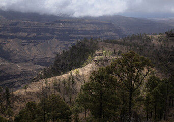 Fototapeta na wymiar Gran Canaria, landscape of the southern part of the island, hiking route of ascent of Tauro mountain 