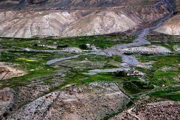 Aerial of green valley, Ladakh, Jammu and Kashmir, India