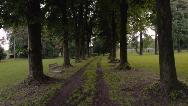 Drone flight in a tree-lined avenue with a path in the middle of a park in Italy, with no one inside