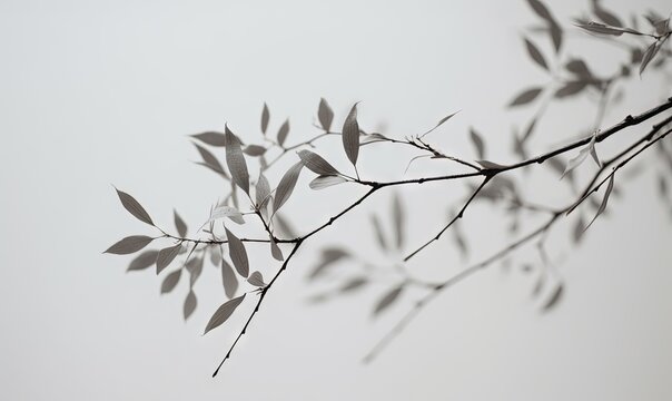  a branch with leaves on it against a white background with a gray sky in the backround of the picture is a thin branch with leaves on it.  generative ai