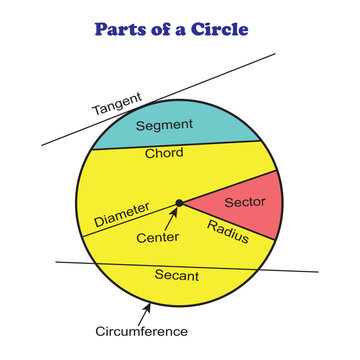 Parts of a Circle Vector Image illustration Isolated on White Background