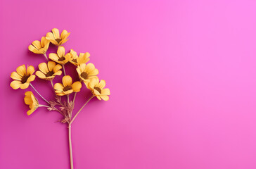 pink background with yellow flowers, ai generated