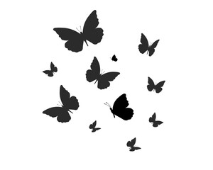 Obraz na płótnie Canvas butterfly hand drawn design vector 