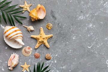 Summer time concept Flat lay composition with beautiful starfish and sea shells on colored table, top view with copy space for text