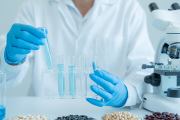 Fototapeta premium Scientist check chemical whole grains residues in laboratory. Control experts inspect the concentration of chemical residues. hazards, standard, prohibited substances, contaminate, Microbiologist.