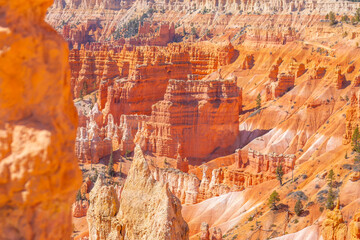 Hoodoos in Bryce Canyon National Park, Utah
