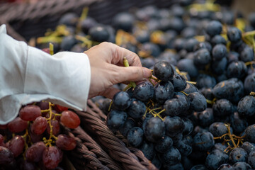 Closed up hand holding grapes, Black grapes background, Bunches of black grapes at a market, A branch of black ripe grapes in women hand