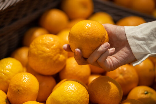 Closed up, woman choosing orange at the grocery store, female's hand pick up Sunkist orange in market, A woman takes a orange hand in the supermarket