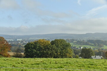 Obraz premium Arbres isolés et prairies sur l'une des collines sous la brume en dissipation à Vielsalm