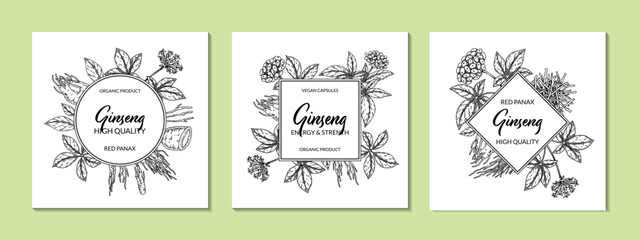 Ginseng frame. Hand drawn botanical vector illustration in sketch style. Can be used for packaging, label, badge, logo. Herbal medicine background