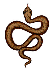 Mystic Snake Exquisite Hand-Drawn Gothic Illustration Intricate Esoteric Tattoo Designs of a Bewitching Serpent in Golden, Isolated on White Background