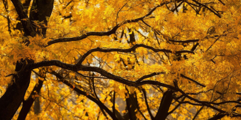 Autumn branches trees yellow leaves an unusual season. AI