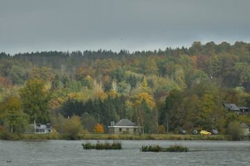 Le lac des Doyards dans un paysage d'automne bucolique sous une chape de brume à Vielsalm