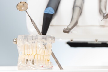 Dental jaw model with mirror and instruments used by dentists in stomatology office