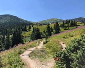 path in the mountains