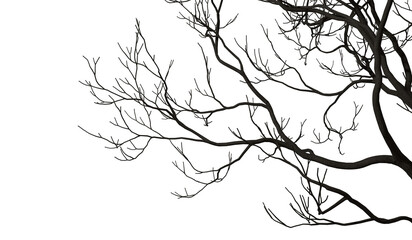 Silhouette death tree branches shapes cutout backgrounds 3d render png
