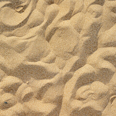 Sand texture summer beach