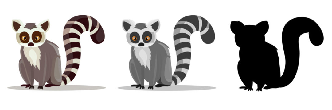 Ringtail Animal vector illustration, Bassariscus astutus, raccoon family  animal flat style vector image in colors and black and white