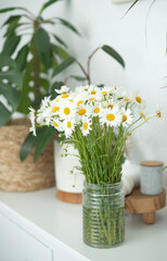 A bouquet of fresh white daisies in a vase on the background of a home interior