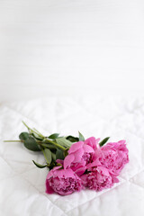 A bouquet of pink fragrant peonies on a light background