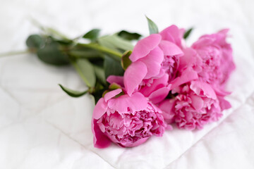A bouquet of pink fragrant peonies on a light background