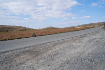 Rural road in countryside with plowed agricultural fields, leafless trees and wind turbines in spring