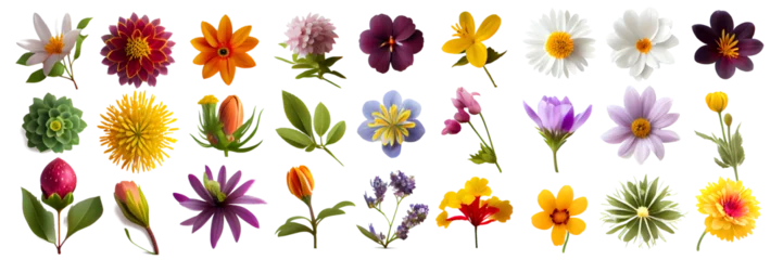 Fotobehang set of flowers On transparent background (png), easy for decorating projects. © I LOVE PNG
