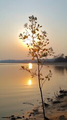 the sun setting over a river in morning Generative Ai