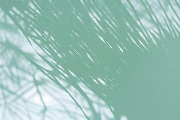 Sunlight with Tropical Leaf Shadow in the Background