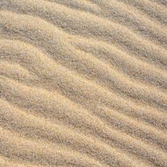 Fototapeta na wymiar Sand texture summer beach