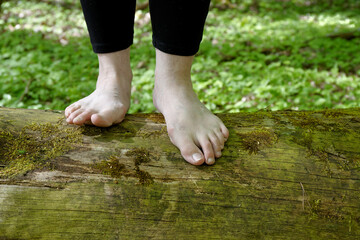 Woman is walking barefoot on huge log tree trunk in forest area. Nature connection concept.