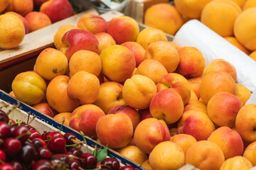 Fresh ripe apricots in a wooden box in a farmer agricultural open air market, seasonal healthy food. Concept of biological, bio products, bio ecology