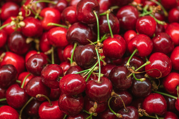 Fresh ripe red cherry or cherries fruit in a wooden box in a farmer agricultural open air market, seasonal healthy food. Concept of biological, bio products, bio ecology
