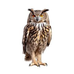 Naklejka premium Eagle owl isolated on white created with Generative AI