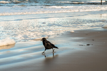 ein Dezembervormittag am Strand von Wangerooge
