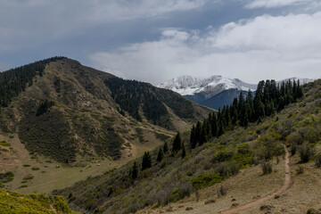 Fototapeta na wymiar Summer mountain landscape. Kyrgyzstan mountains. Issyk-Kul region.