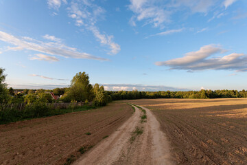 Fototapeta na wymiar Country road through the field in the evening. Countryside landscape.