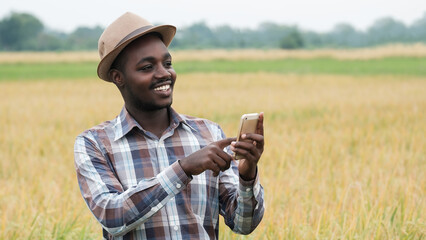 African farmer in hat is standing and using smartphone in his growing wheat field.Agriculture or cultivation concept